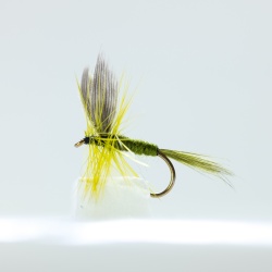 Olive dun Dry Fly by the dozen